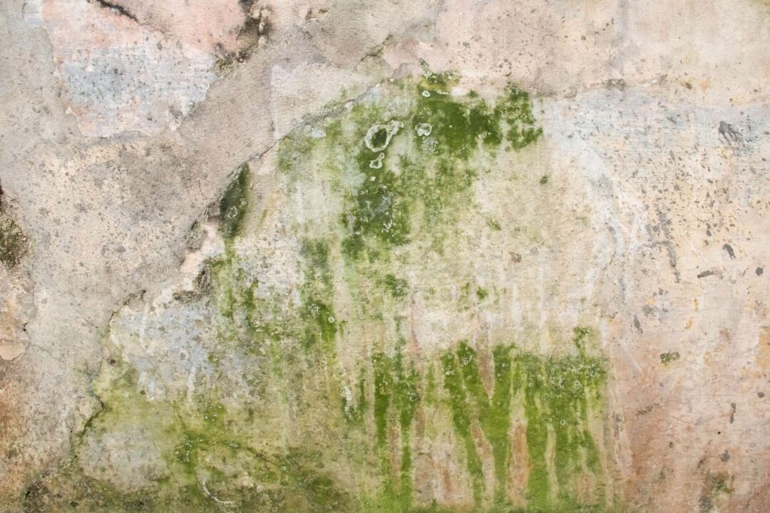 Prolonger la durée de vie de vos façades avec la peinture autonettoyante